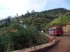 nuwara_eliya_1