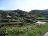 nuwara_eliya_2