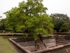 pools_anuradhapura