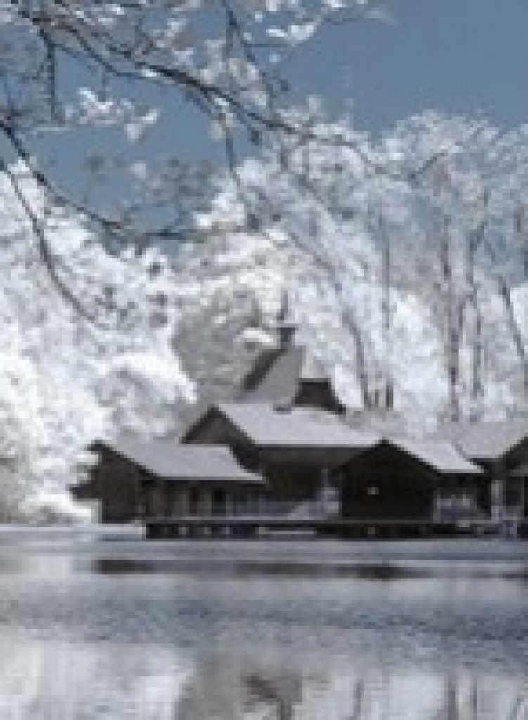 cropped-cropped-mannenweier_1.jpg