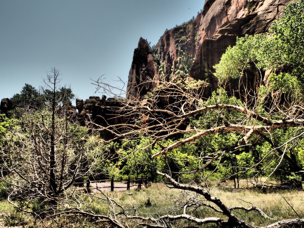Unterwegs im Zion Nationalpark