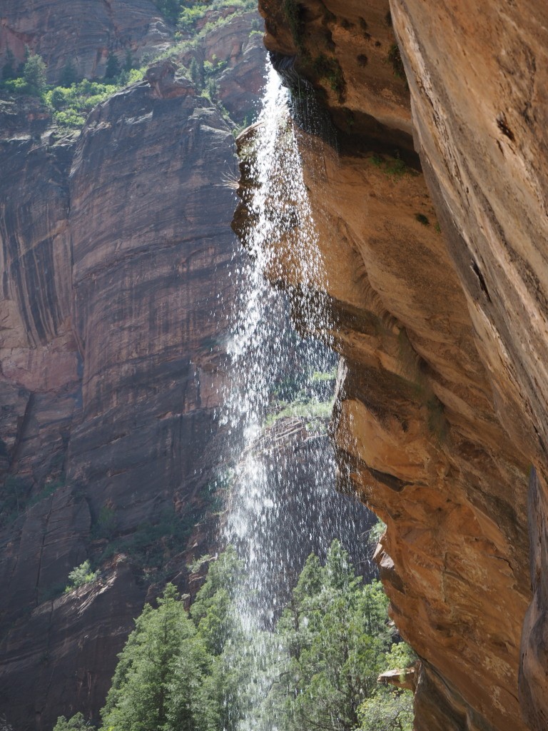 Unterwegs im Zion Nationalpark