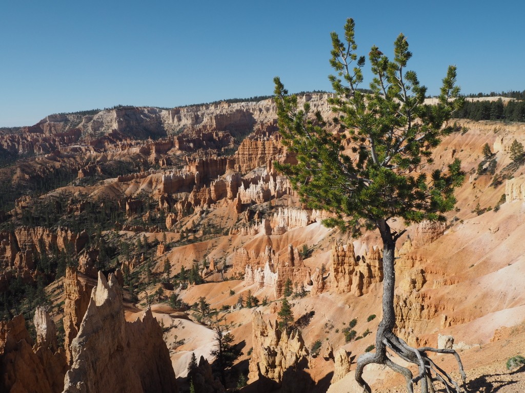 Bryce Canyon National Park