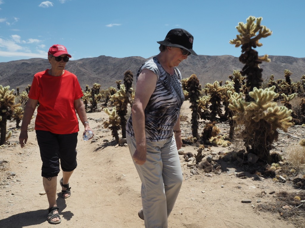 Joshua Tree National Park