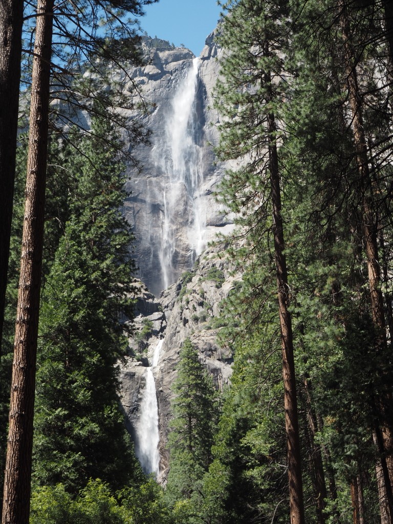 Yosemite National Park